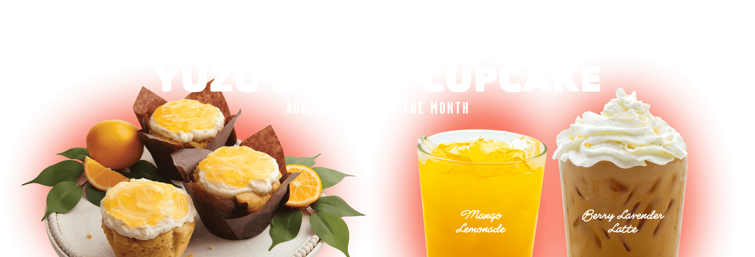 Kolache Factory - Yuzu Lemon Cupcake